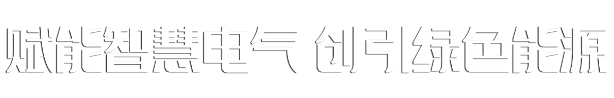 山东鲁瑞电力集团有限公司